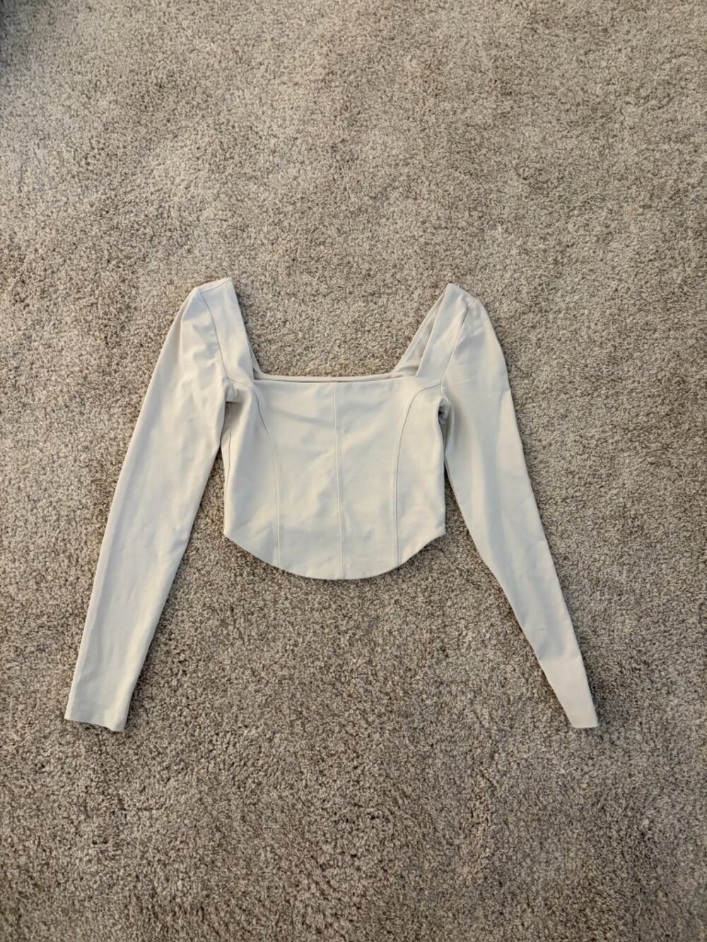Aritzia Cropped Babaton Corset Top